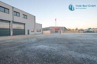 Immobilie mieten in Prinz-Eugen-Straße, 2442 Unterwaltersdorf, PROVISIONSFREI: Vielseitig Nutzbare Lagerhallen in Ebreichsdorf (Unterwaltersdorf - 2442)