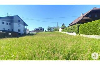 Grundstück zu kaufen in 4710 Tollet, Sonniges Grundstück am Waldrand sehr idyllisch am Bach