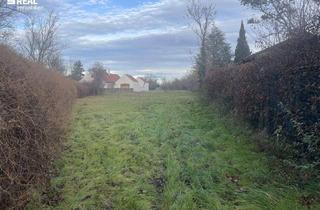 Grundstück zu kaufen in 7161 Apetlon, Natur pur: Ihr Rückzugsort am idyllischen Zicksee