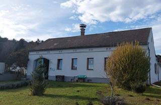 Bauernhäuser zu kaufen in 7551 Stegersbach, Stilvoll renoviertes Bauernhaus mit zwei Ferienappartements