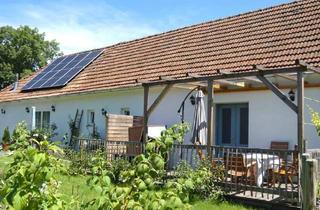 Bauernhäuser zu kaufen in 7551 Stegersbach, Schönes Bauernhaus mit zwei Ferienappartements