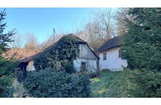 Haus kaufen in 3681 Hofamt Priel, Wer küsst Dornröschen wach?