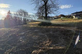 Grundstück zu kaufen in Obere Höhenstraße, 7203 Wiesen, sonniger Baugrund mit Fernsicht zu verkaufen