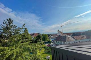 Penthouse kaufen in Innerer Graben, 4070 Eferding, Eferding: Dachgeschosswohnung mit Garten in bester Zentrumslage!
