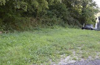 Grundstück zu kaufen in 3642 Kochholz, Grundstück im Grünen mit Holzhaus ohne Bauzwang