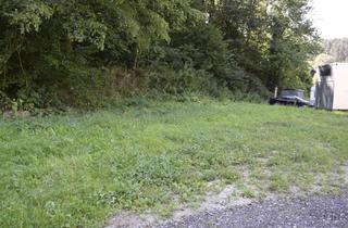 Grundstück zu kaufen in 3392 Schönbühel an der Donau, Grundstück im Grünen mit Holzhaus ohne Bauzwang