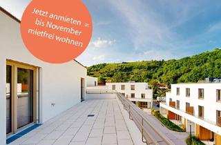 Wohnung mieten in Kremstalstraße, 3500 Krems an der Donau, marena - Wohnen in Krems Haus 75b | 3-Zimmer-Dachgeschoßwohnung mit großer Terrasse