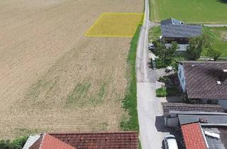 Grundstück zu kaufen in 3313 Igelschwang, Baugrundstück 747 m2 (aufgeschlossen) in 3313 Wallsee - Igelschwang, Widmung: BA