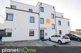 Wohnung kaufen in 2524 Teesdorf, Dachgeschosswohnung - Energieeffizientes Nest für Zweisamkeit
