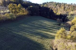 Gewerbeimmobilie kaufen in 3644 Goßam, Großes an Bauland grenzendes Grünland-Grundstück bei Emmersdorf!