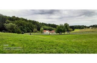 Bauernhäuser zu kaufen in 7572 Deutsch Kaltenbrunn, Bauernhaus mit wunderschönen Arkaden in idyllischer Alleinlage