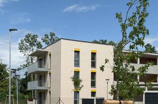 Wohnung mieten in Elisabeth Bollenberger-Gasse, 2700 Wiener Neustadt, 3-Zimmer-Wohnung mit Balkon, Top 9