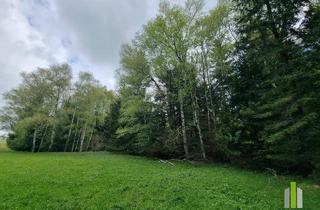 Gewerbeimmobilie kaufen in 5162 Obertrum am See, Grünland mit angrenzendem Waldstück in sonniger Lage – Obertrum am Haunsberg