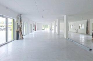 Büro zu mieten in Tiefentalweg, 5303 Thalgau, Büro/Geschäftsflächen in Thalgau