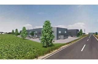 Gewerbeimmobilie kaufen in 4493 Wolfern, Gewerbehallen von 55 m² bis 500 m² und ein kleiner Garagenpark zu kaufen oder mieten !! BEZUGSFERTIG