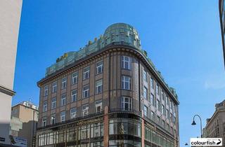 Büro zu mieten in Rotenturmstraße, 1010 Wien, Großzügige Bürofläche bei der Rotenturmstraße