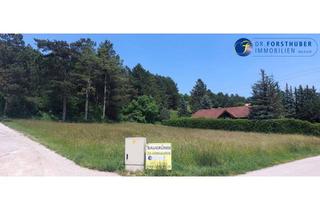 Grundstück zu kaufen in 2560 Berndorf, BAUGRUND MIT 678 m² IN IDYLLISCHER GRÜNRUHELAGE VON BERNDORF