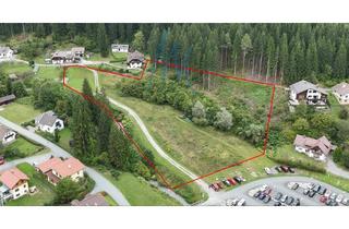 Grundstück zu kaufen in 9622 Weißbriach, Grundstück zur Entwicklung ca. 11.800m² Weißbriach/ Weisensee/ Nassfeld