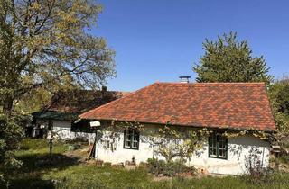 Haus kaufen in 2042 Ober-Steinabrunn, Der Frühling hält Einzug! Wessen Zuhause darf hier entstehen?