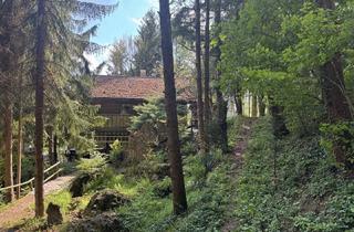 Einfamilienhaus kaufen in 2571 Altenmarkt an der Triesting, Kleines Juwel in Niederösterreich - Blockhaus mit Fischteich
