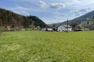  in 8573 Kainach bei Voitsberg, KAINACH BEI VOITSBERG - SONNIGER BAURECHTSGRUND
