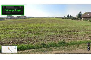 Grundstück zu kaufen in 2295 Oberweiden, LEISTBARE GRUNDSTÜCKE IN RUHELAGE - OBERWEIDEN