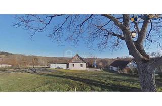 Haus kaufen in 7561 Heiligenkreuz im Lafnitztal, Saniertes ehemaliges Kellerstöckl - Ferienhaus - Tinyhaus mit großem Weingarten