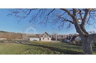 Haus kaufen in 7561 Heiligenkreuz im Lafnitztal, Saniertes ehemaliges Kellerstöckl - Ferienhaus - Tinyhaus mit großem Weingarten