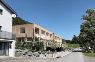 Reihenhaus kaufen in 6932 Langen bei Bregenz, Langen bei Bregenz, Doppelhäuser in Vollholzbauweise