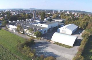 Büro zu mieten in 3100 Sankt Pölten, Büro- und Hallenflächen in St. Pölten, flexible Flächengestaltung