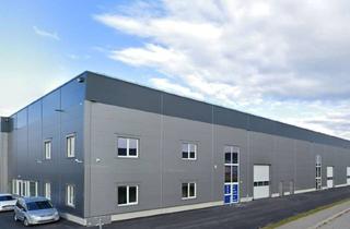 Lager mieten in Julius-Raab-Straße 29, 2203 Großebersdorf, Gewerbehalle | Lager / Büro - / Verkaufsraum zur Untermiete im Squarebizz Business Center Eibesbrunn