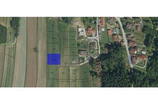 Grundstück zu kaufen in Scheideldorf, 3800 Göpfritz an der Wild, Bauplatz in Scheideldorf