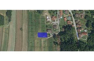 Grundstück zu kaufen in Scheideldorf, 3800 Göpfritz an der Wild, Bauplatz in Scheideldorf