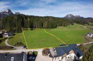 Grundstück zu kaufen in 8992 Altaussee, Vier Baugründe in Altaussee - Baugrund 2
