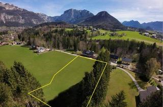 Grundstück zu kaufen in 8992 Altaussee, Vier Baugründe in Altaussee - Baugrund 1