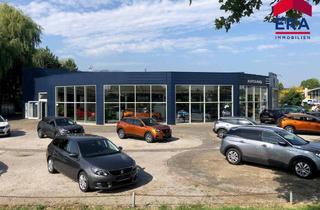 Büro zu mieten in 2130 Mistelbach, Kooperation gesucht - Teilanmietung - Moderner KFZ Betrieb in Mistelbach