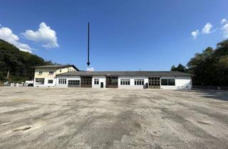 Büro zu mieten in Höll 89, 2870 Aspang Markt, VIELFÄLTIGE LAGERHALLE FÜR IHREN BETRIEB