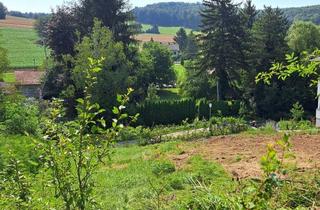 Grundstück zu kaufen in 2534 Alland, Aktion 195.000,- inklusive Aufschließungskosten