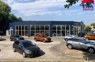 Lager mieten in 2130 Mistelbach, Kooperation gesucht - Teilanmietung - Moderner KFZ Betrieb in Mistelbach