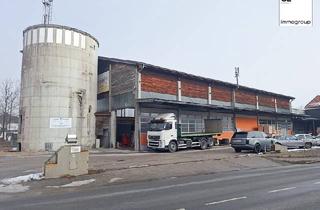 Immobilie mieten in Salzburger Straße, 5303 Thalgau, Ihr neuer Standort in Thalgau! BÜRO`s / HALLEN / LAGER - mietbare Flächen