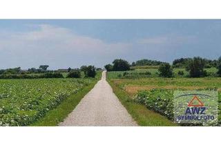 Gewerbeimmobilie kaufen in 2362 Biedermannsdorf, Acker ca. 4,1 ha an der Schönbrunner Allee!