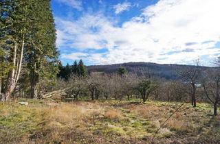 Grundstück zu kaufen in 3001 Mauerbach, Grundstück mit Panoramablick an der Wiener Stadtgrenze - teilbar mit Bauträger-Eignung!