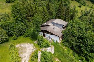 Haus kaufen in 8974 Mandling, Repräsentatives Anwesen in erhöhter Alleinlage!Nahe Reiteralm/Schladming