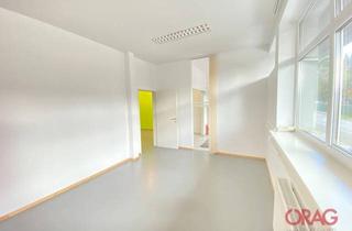 Büro zu mieten in 5300 Hallwang, Schönes Büro vor den Toren Salzburgs