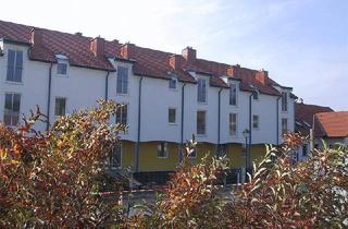 Wohnung mieten in Gria-Tal-Str. 279/1/3, 2162 Falkenstein, Geförderte Miete mit Kaufoption | 1. OG mit Balkon.
