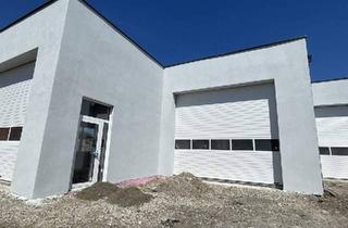 Gewerbeimmobilie mieten in 2601 Sollenau, LKW Werkstatt/Halle PROVISIONSFREI!! mit 2 gut beleuchteten Dachkuppeln und Sektionaltor 25m lang ab März 2025 zu vermieten