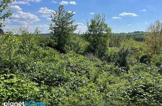 Grundstück zu kaufen in 7461 Altschlaining, Baugrund in Aussichtslage!