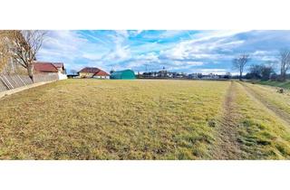 Grundstück zu kaufen in 3243 Haindorf, SIE SUCHEN VIEL BAUFLÄCHE