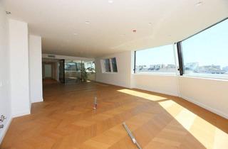 Penthouse mieten in Schwarzenbergplatz, 1010 Wien, Exklusives Wohnen im Herzen Wiens - Luxuriöses Dachgeschoss mit 4 Zimmern, Garage und hochwertiger Ausstattung