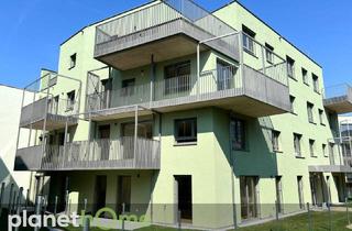 Wohnung mieten in 2700 Wiener Neustadt, Gemütliches Wohnen im Zentrum von Wr. Neustadt